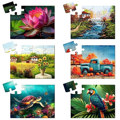 Libima LIBIMA-JIGSAW PUZZLES-2694 6 Pack Large Piece Jigsaw Puzzles Dementia Alzheimer'S Products cover