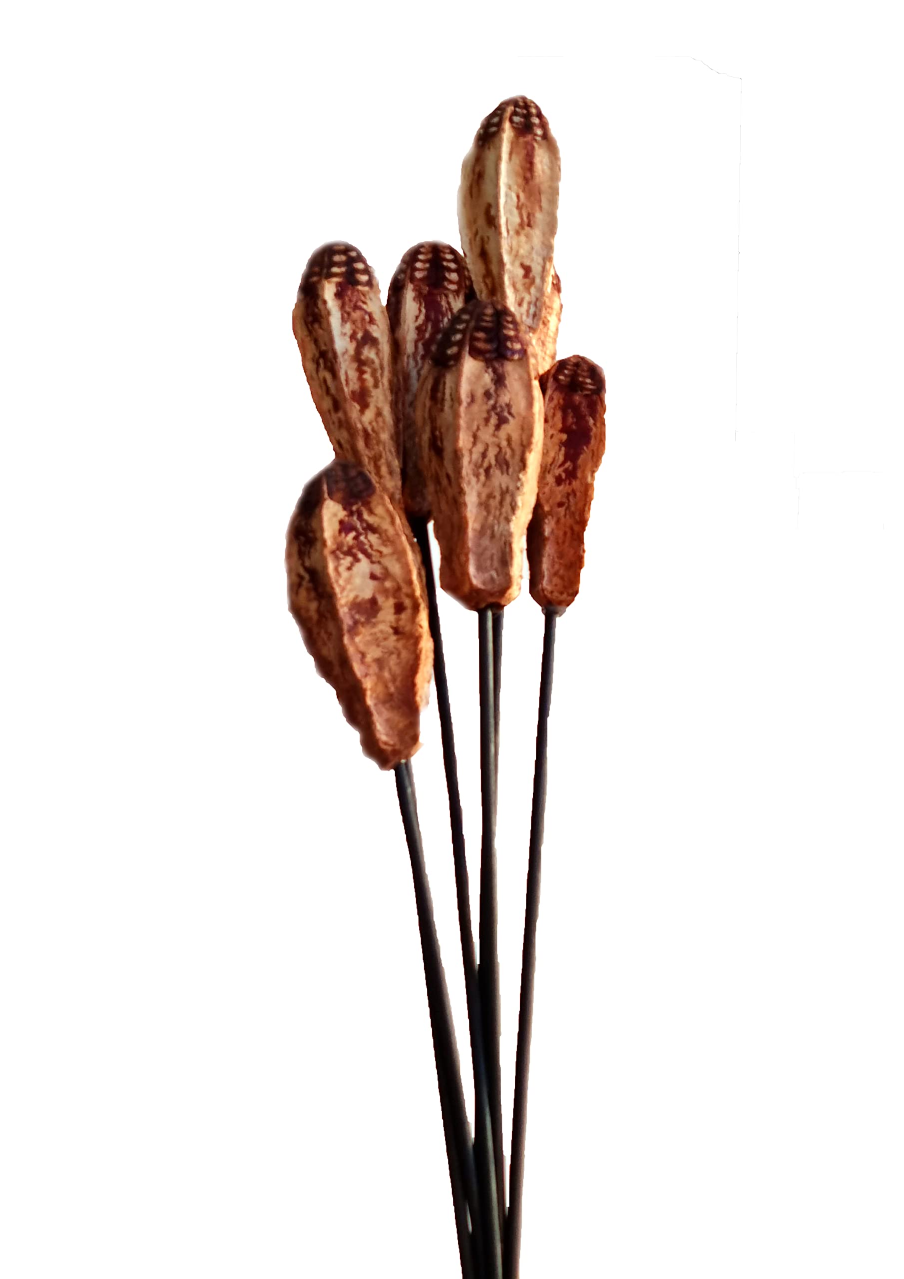 Homestreet Mahogany Pod Exotic Wooden Flower Bunch In Brown 7 Stems 48cm