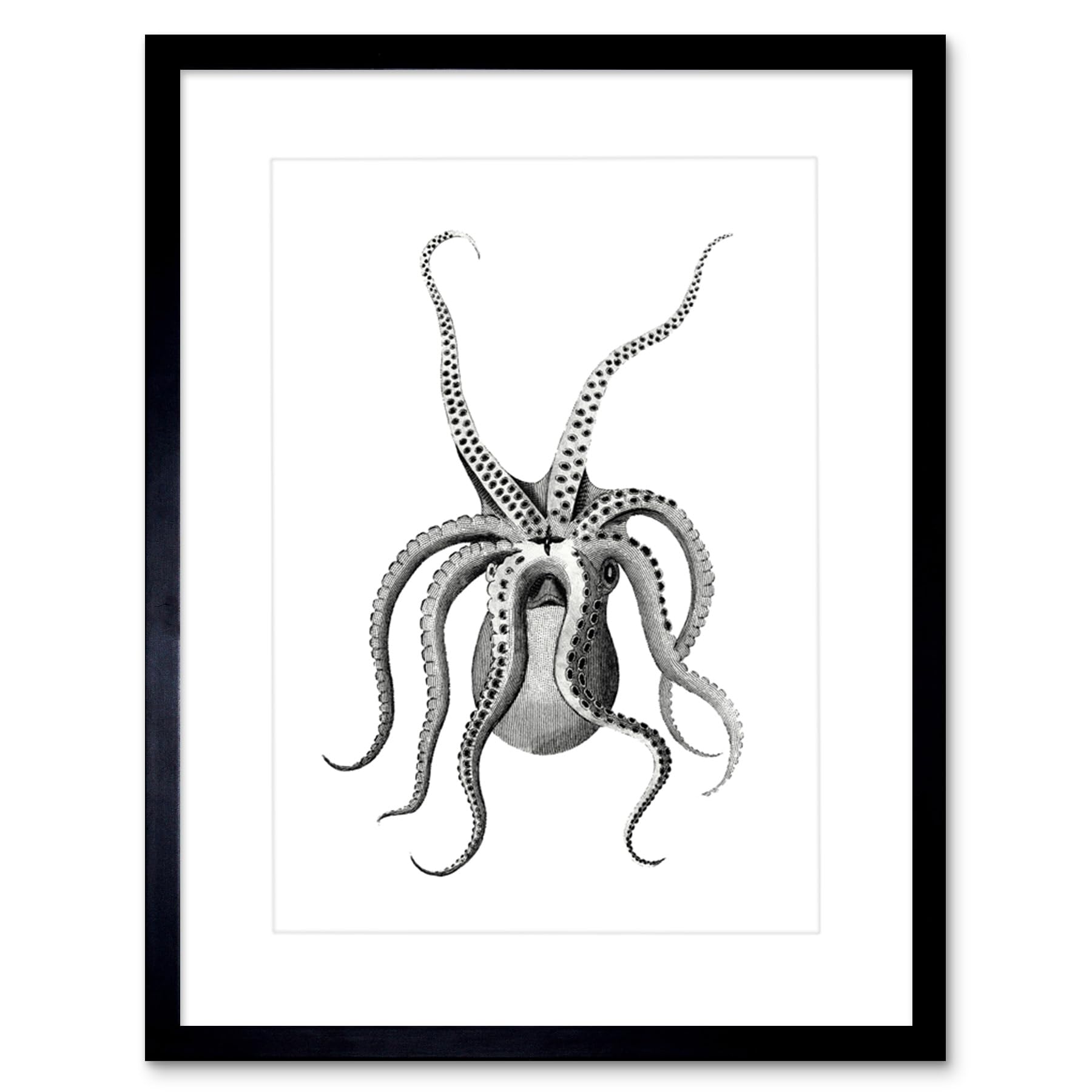 Wee Blue Coo Octopus Upside Down Illustration Art Print Framed Poster Wall Decor 12x16 inch