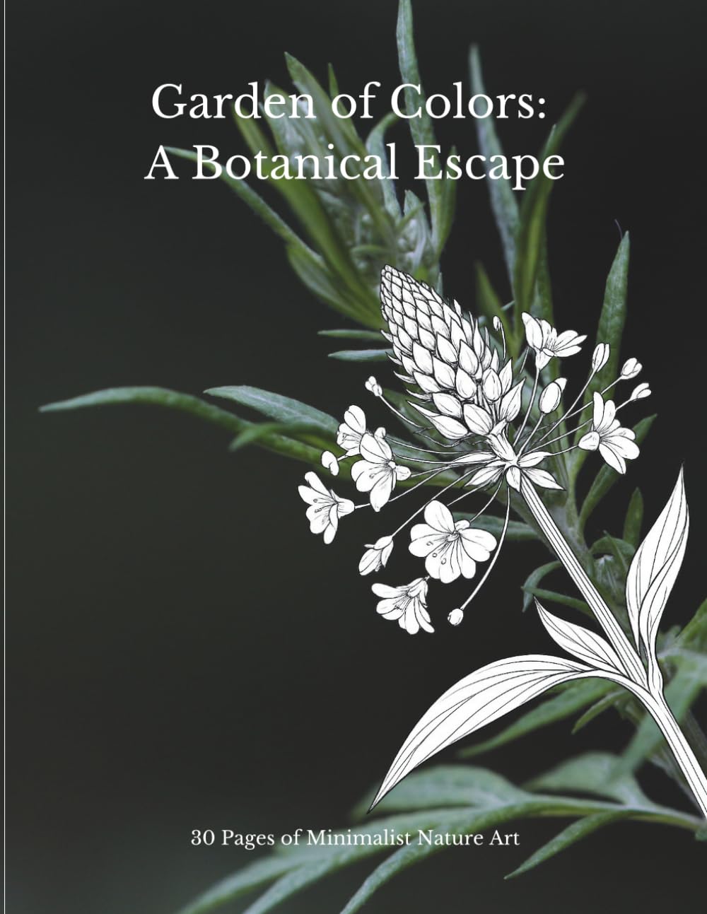 Garden of Colors: A Botanical Escape