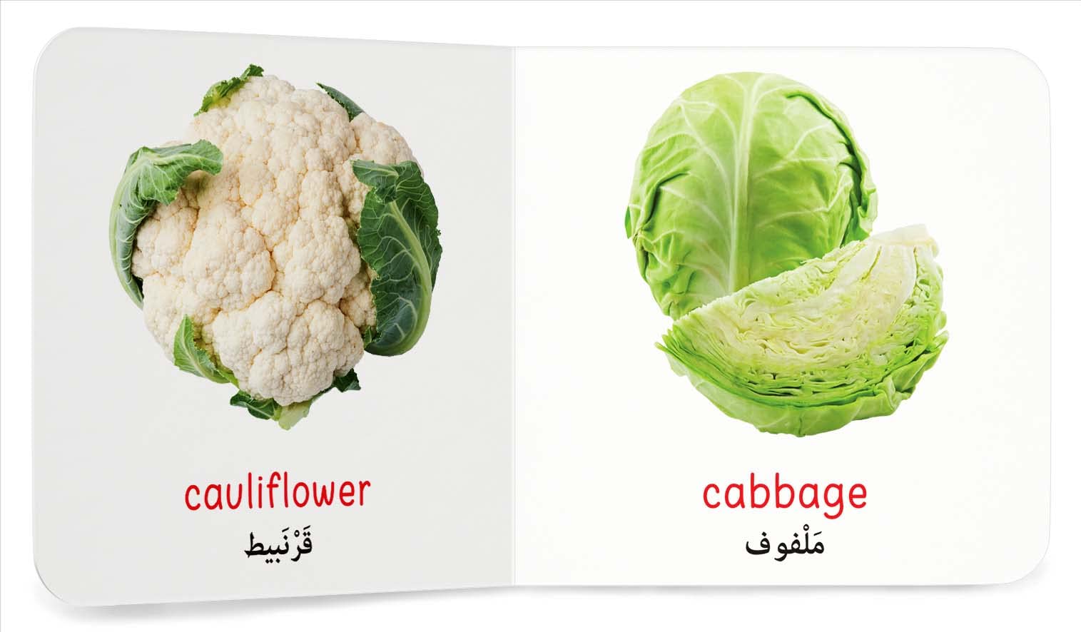 My First Book of Vegetables (English-Arabic) - Bilingual Learning Library 3