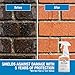 Rainguard Water Sealers Brick Sealer Spray, Penetrating Protection Against Rain and Moisture Damage, for All Brick & Mortar Surfaces, Silane/Siloxane Waterproofer, Natural Finish, Ready-to-Use, 16 oz