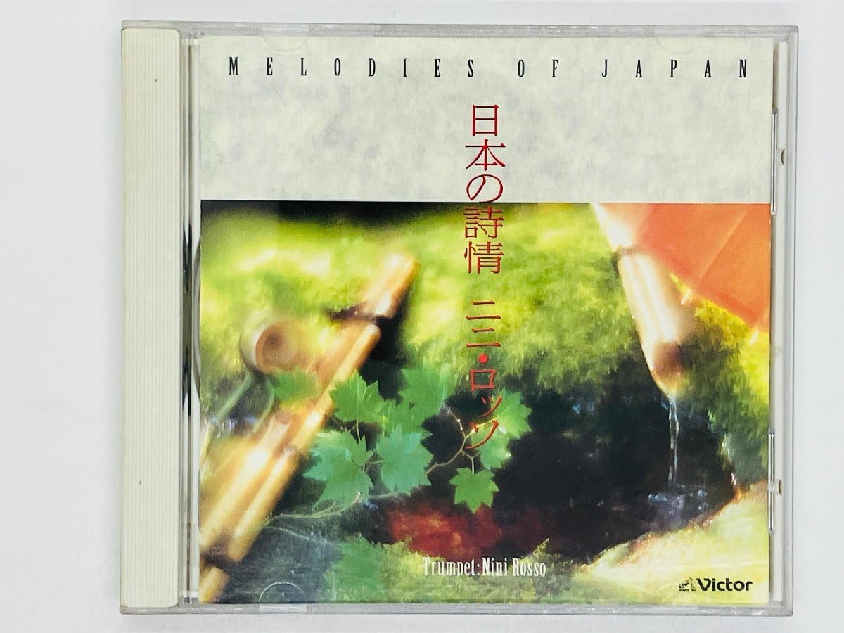 ASAMI ページ シアーハイゲージニットプルオーバー | human woman（ヒューマン