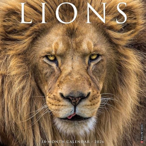 Lions 2026 Wall Calendar