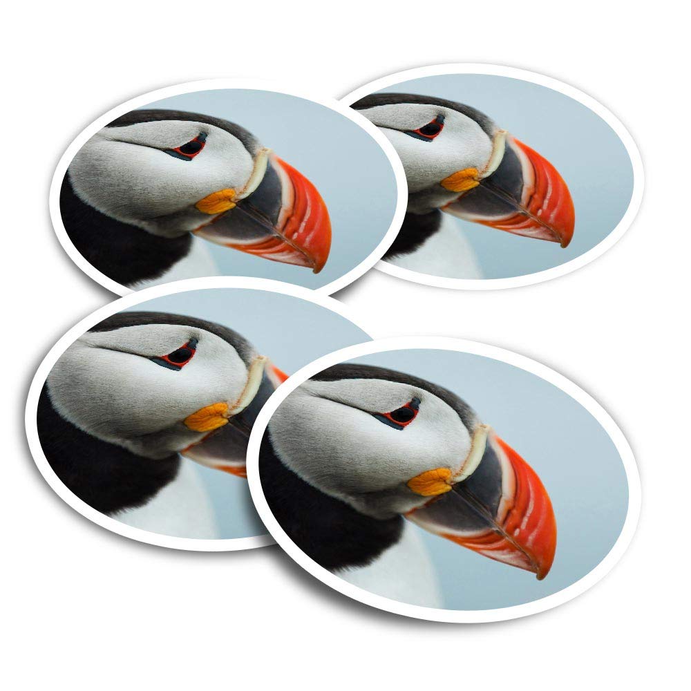 Vinyl Stickers (Set of 2) 10cm - Cute Puffin Bird Sea Birds Wild Fun Decals for Laptops,Tablets,Luggage,Scrap Booking,Fridges #24071