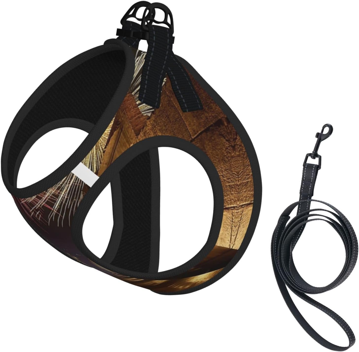 Ancient Persian Cities Pet Vest Small Size Dog Harness and Leash Set, Reflective & Breathable for Puppy Training Without Accessories Medium