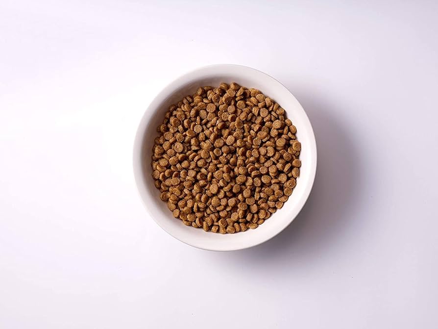 ソルビダ　グレインフリー　チキン　室内飼育子犬用　12kg 楽天市場】おまけ付き ソルビダ グレインフリー チキン 室内飼育 子犬