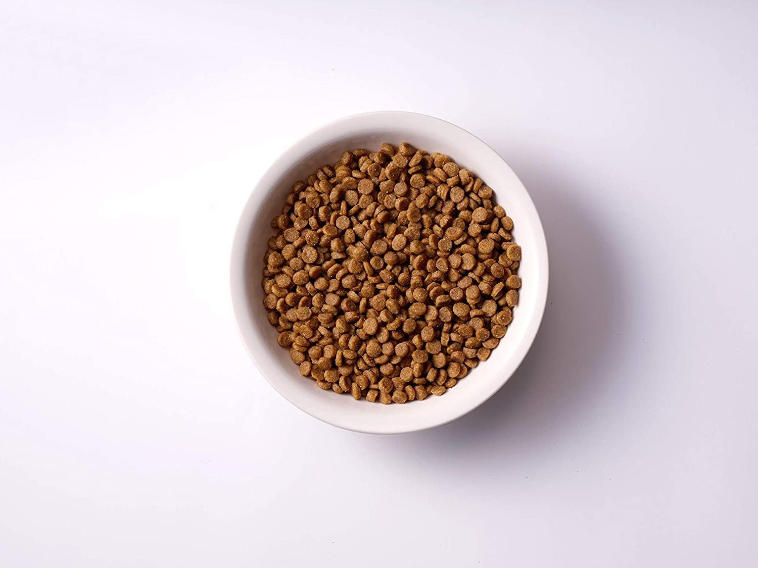 ソルビダ グレインフリー チキン 室内飼育子犬用 12kg 【公式通販】