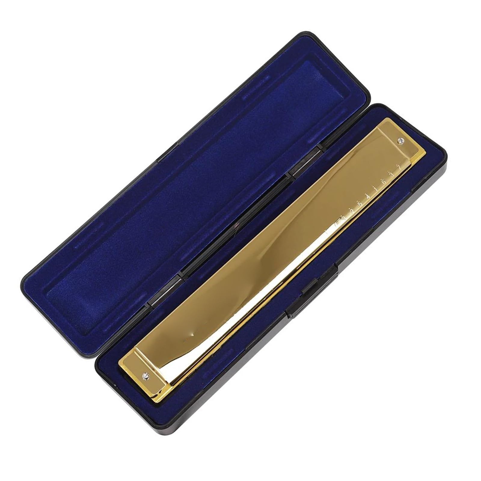 Armonica Blues Armonica A 28 Fori C Professionale | Armonica a 28 fori Polifonia C Principianti Strumenti a fiato professionali(Gold)