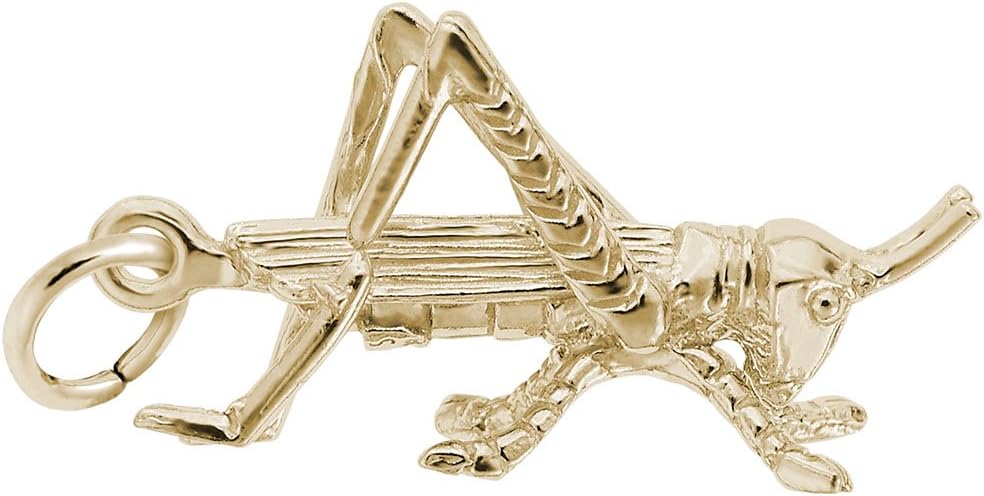 Cricket Charm, Charms for Bracelets and Necklaces