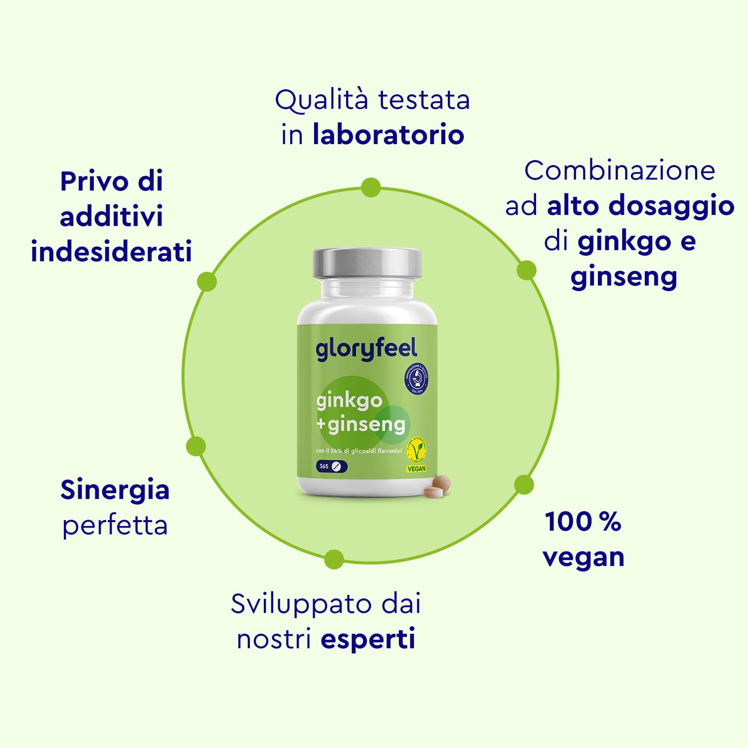Ginkgo + Ginseng 365 Compresse - 24% Glicosidi Flavonici - Estratto di Panax Ginseng e Ginkgo Biloba (50:1) ad Alto Dosaggio - Scorta di 1 Anno - Testato in Laboratorio, Vegan e Senza Additivi