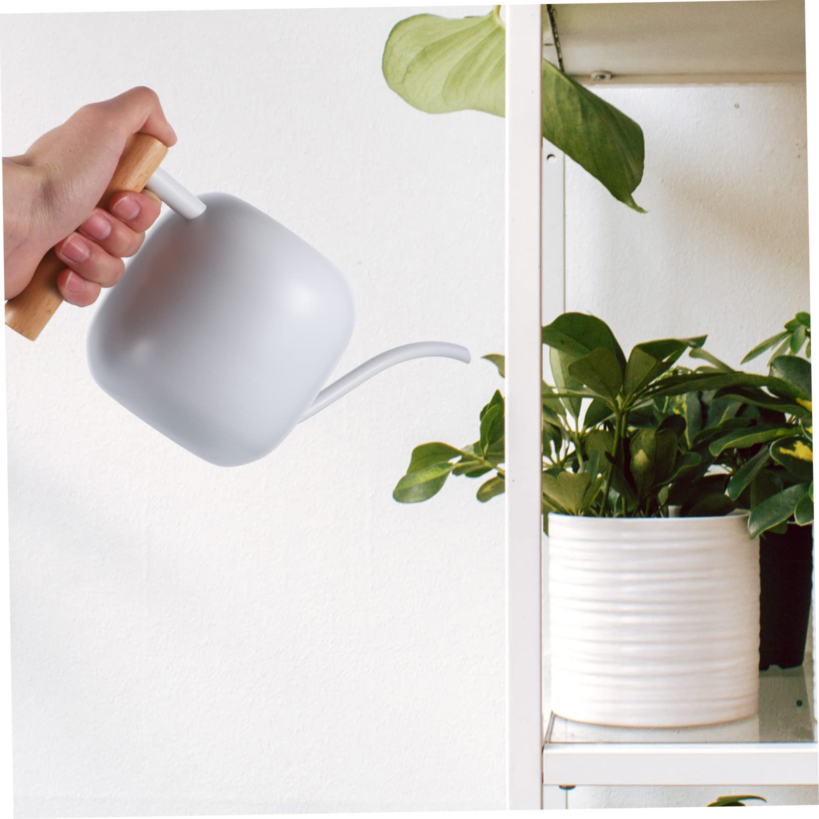 HANABASS Arrosoir à Long Bec 1,2 L Poignée en Bois en Acier Inoxydable pour Plantes D’intérieur et Fleurs, Usage Maison et Jardin
