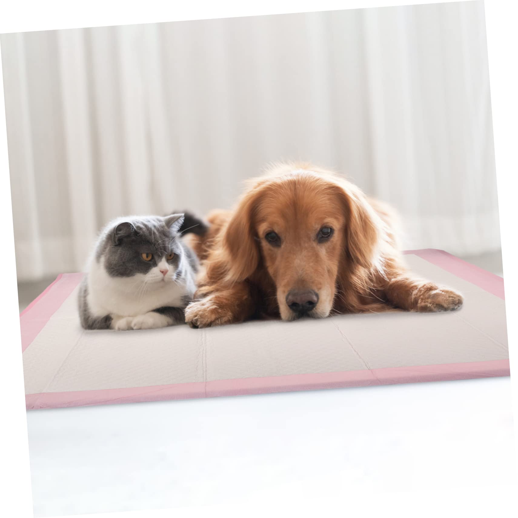 TOYANDONA 1tasche Trainingsunterlage Für Hunde Saugfähige Hundetoilette Welpen-trainingsunterlage Platzierung Zu Hause Hundebox Einfach in Anwendung Aus Robusten Materialien Für Welpen Und m