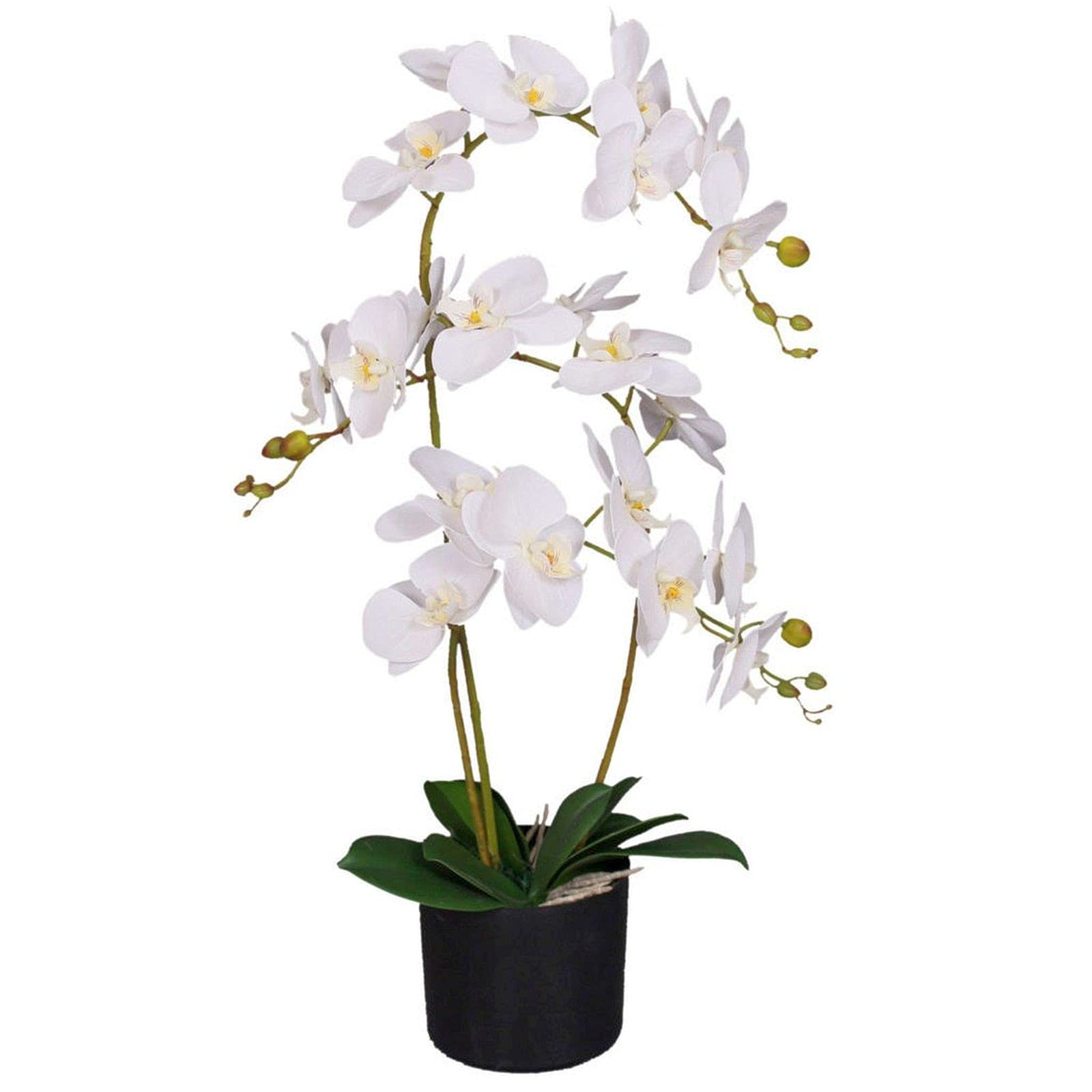 Leaf Design UK Realistic Artificial Orchid Flower Display in Pot, 65cm