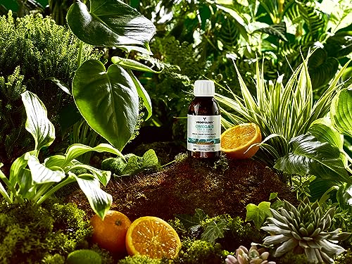 Vegan-Omega-3-Supplements-150-ml-30-Day-Supply--Plant-Source-from-Microalgae--EPA-300MG-DHA-500-MG-VIT-D3--Health-Supplements-for-Heart-Eye-Brain-Health-Orange-Flavored