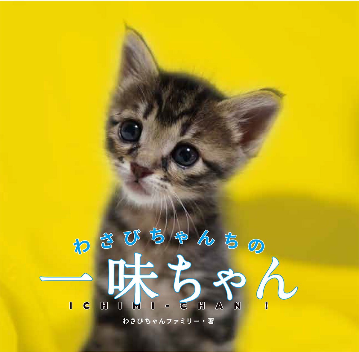 わさびちゃんページ 61NK1pGH4yL.jpg