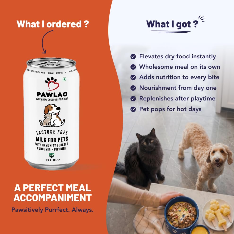Image of Lactose Free Milk for Cats and Dogs | 200 ml, Pack of 15 | Ready to Serve Golden Milk with Curcumin & Piperine | Easy to Digest | Complete Daily Nutrition for Kittens, Puppies, Cats & Dogs