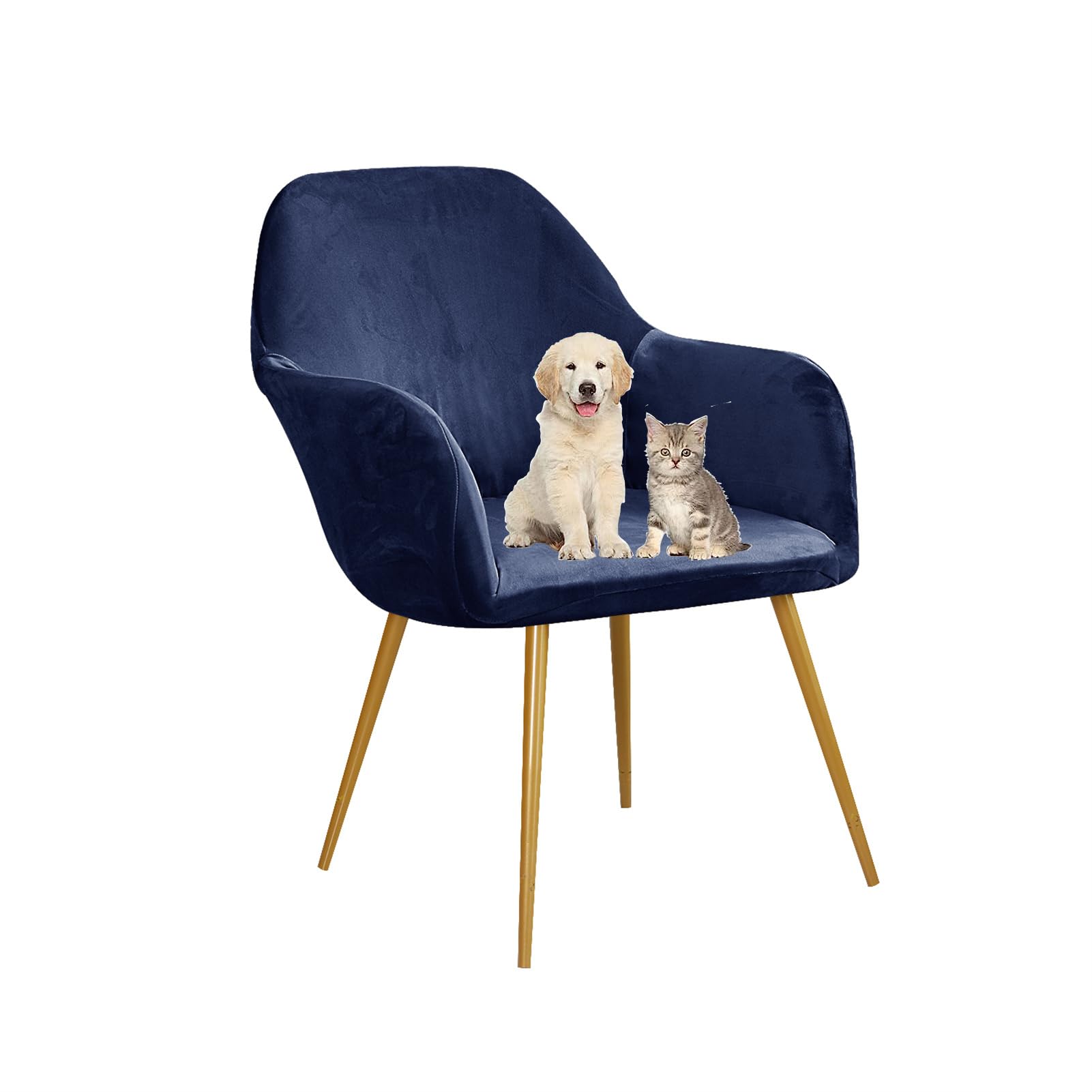 Housse de chaise en velours extensible beige pour un nid douillet