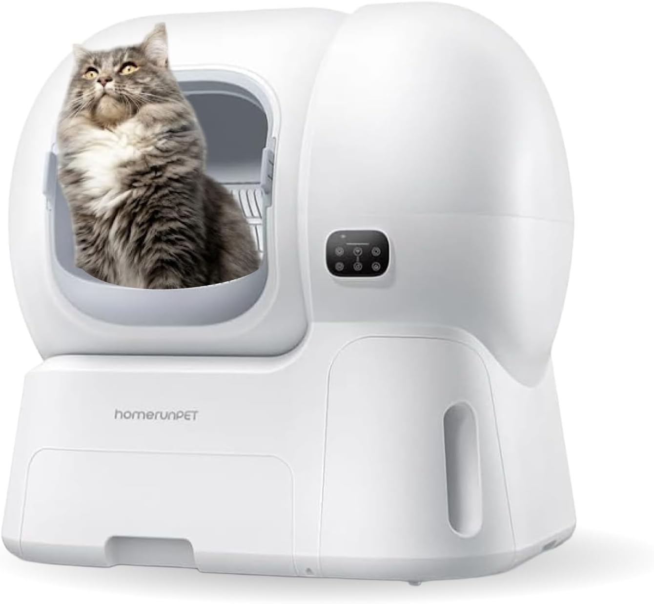 6kg以上でも入る？サイズで後悔しない大型自動猫トイレの選び方