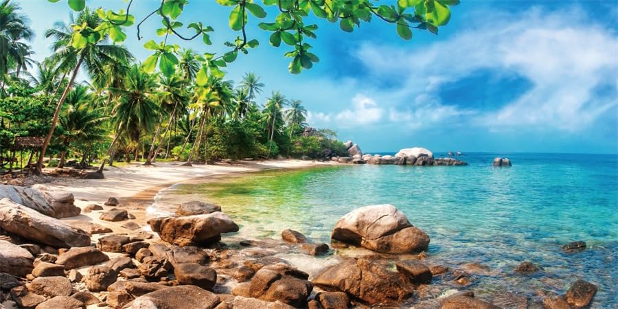 YongFoto Fish Tank Background 36x20 inch Blue Sky Ocean Beach Tropical Island Coconut Palm Sea Landscape Summer Natural Scenery Polyester Backdrop