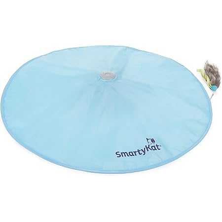 SmartyKat Hot Pursuit Cat Toy