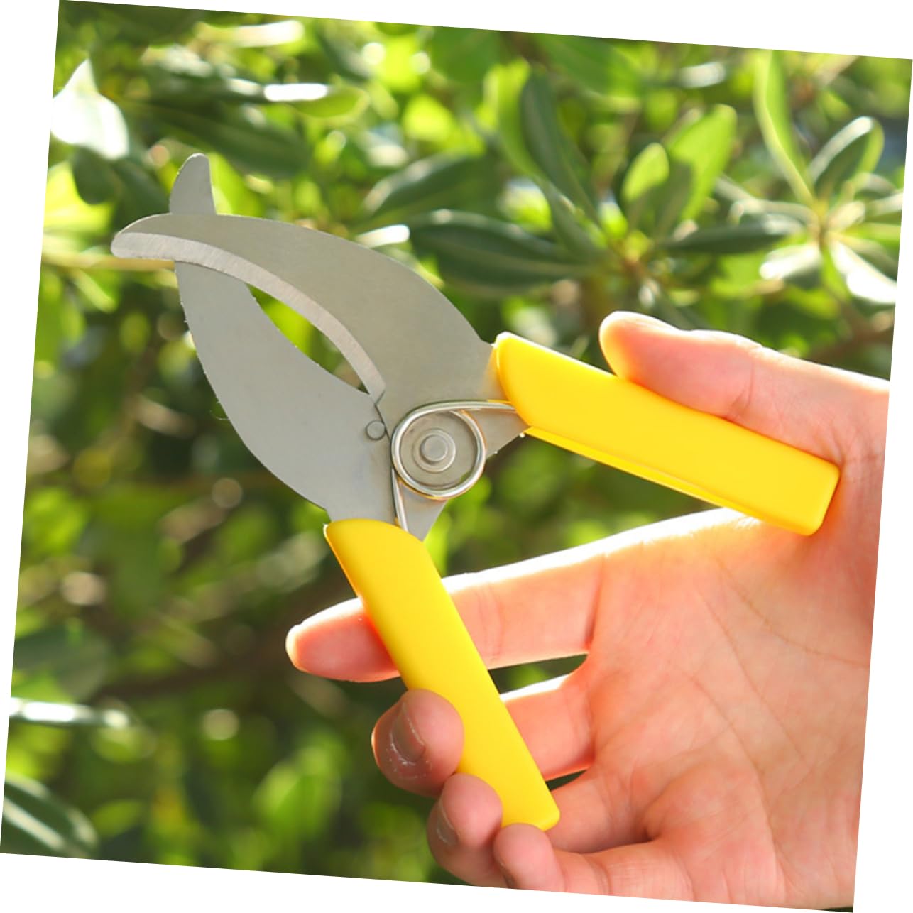 Abaodam 2 Ensembles Cisailles À Ceinturer Outil À Main Pour L'annelage Des Arbres Fruitiers Sécateurs À Main De Jardin Outil De Décapage D'écorce D'arbre Plastique 2 Pièces * 2