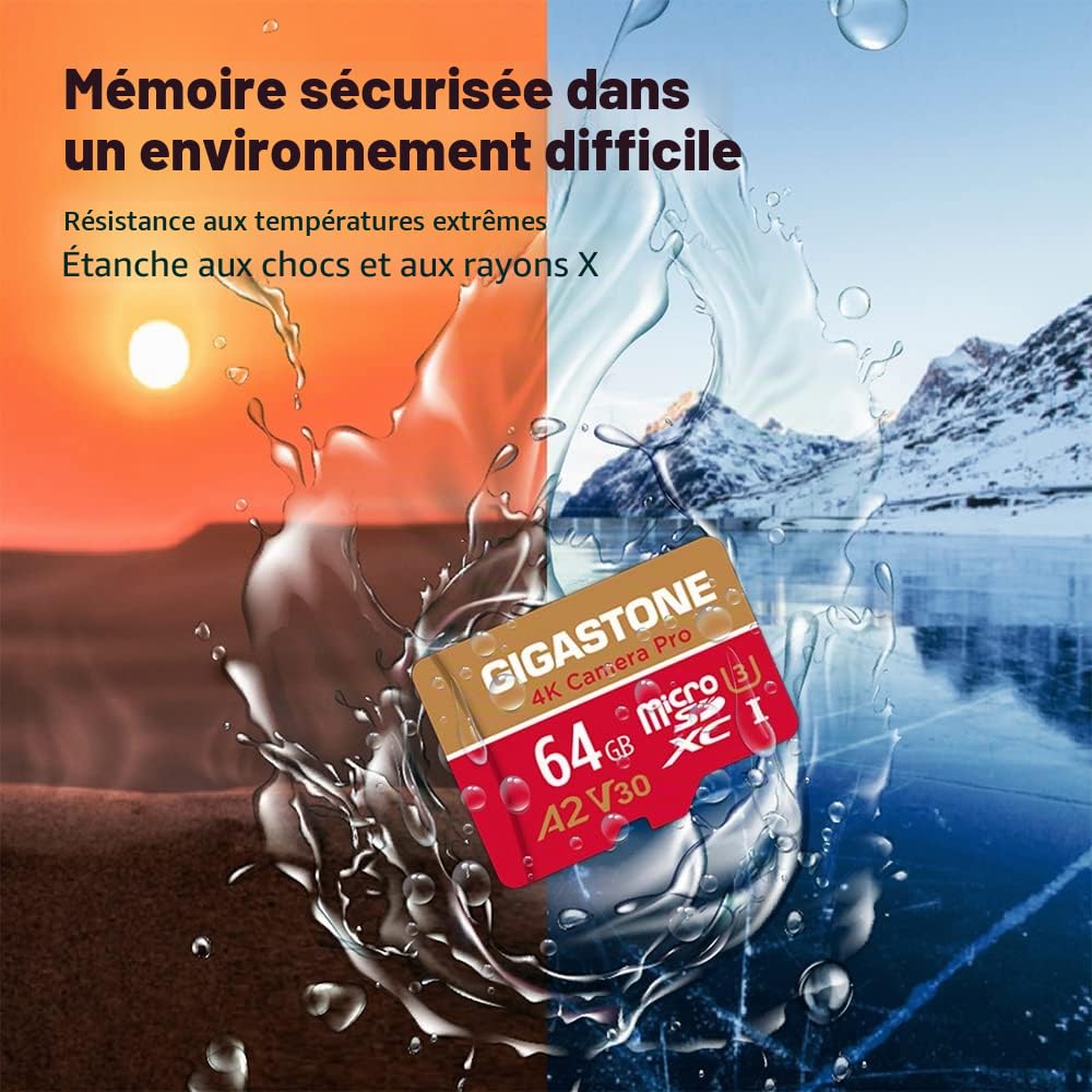 Gigastone Carte Mémoire 64 Go Lot de 2 Cartes, 4K Caméra Pro, Compatible avec GoPro Switch, Vitesse 95 Mo/s. A2 U3 V30 Carte Micro SDXC avec Adaptateur SD.