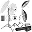 LimoStudio, 700W Output Lighting Series, LMS103, Soft Continuous Lighting Kit for White and Black Umbrella Reflector with Acc
