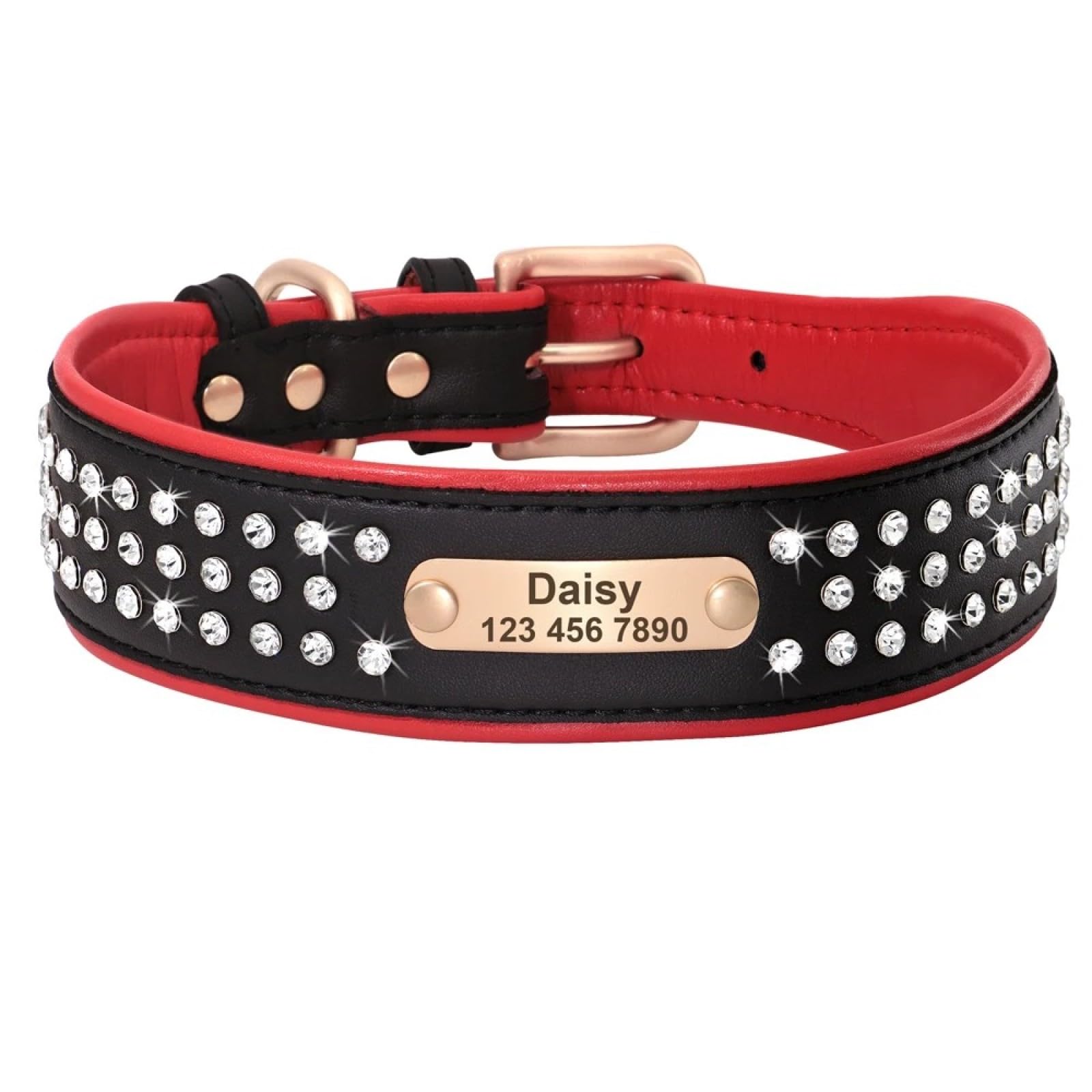 Collier de chien en cuir PU rembourré anti irritation pour Beagle