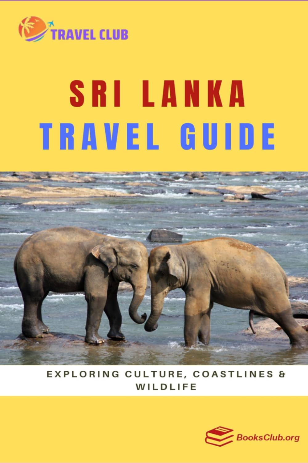 Sri Lanka Travel Guide: Exploring Culture, Coastlines & Wildlife