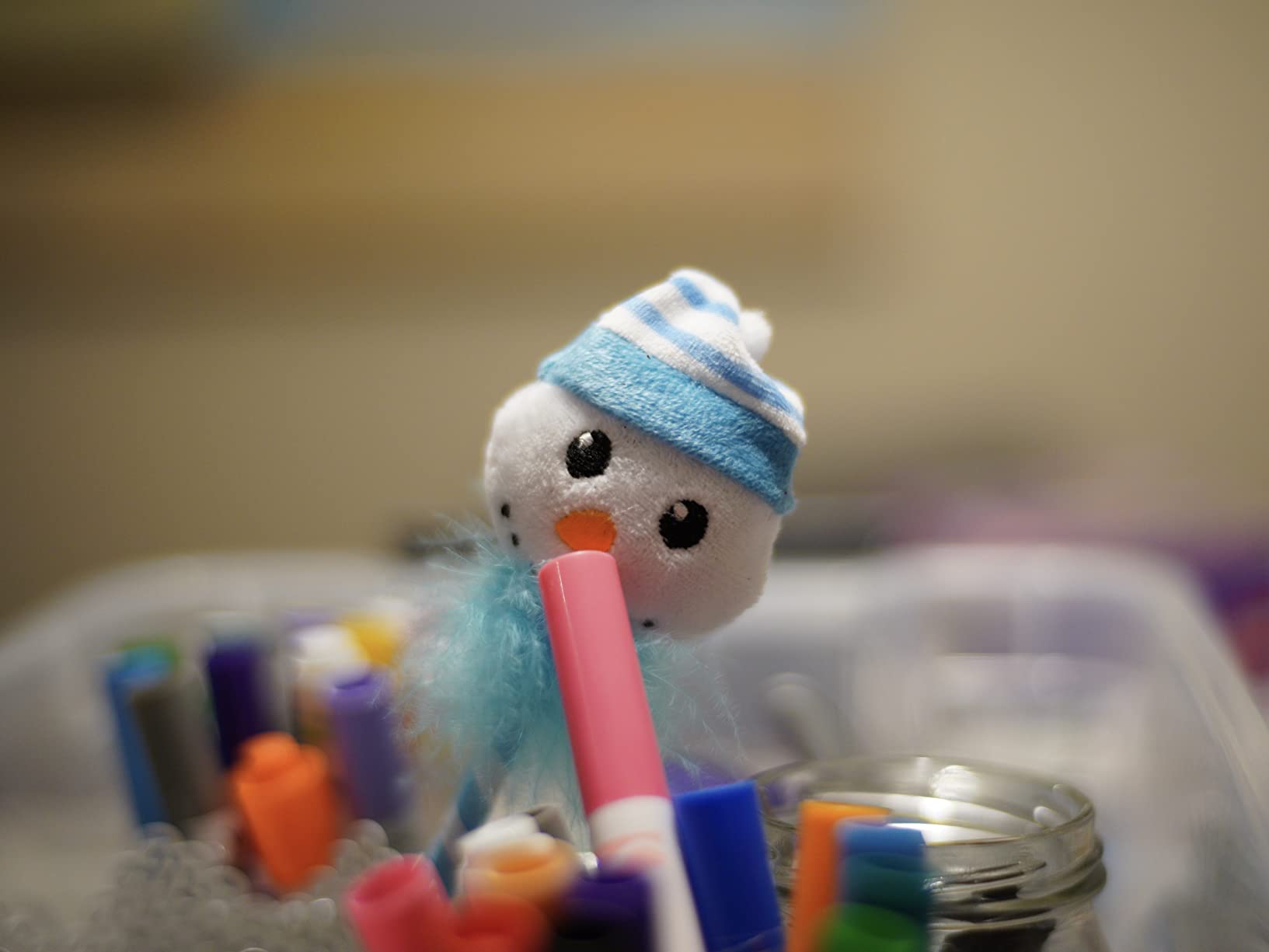 Quick focus and great picture quality