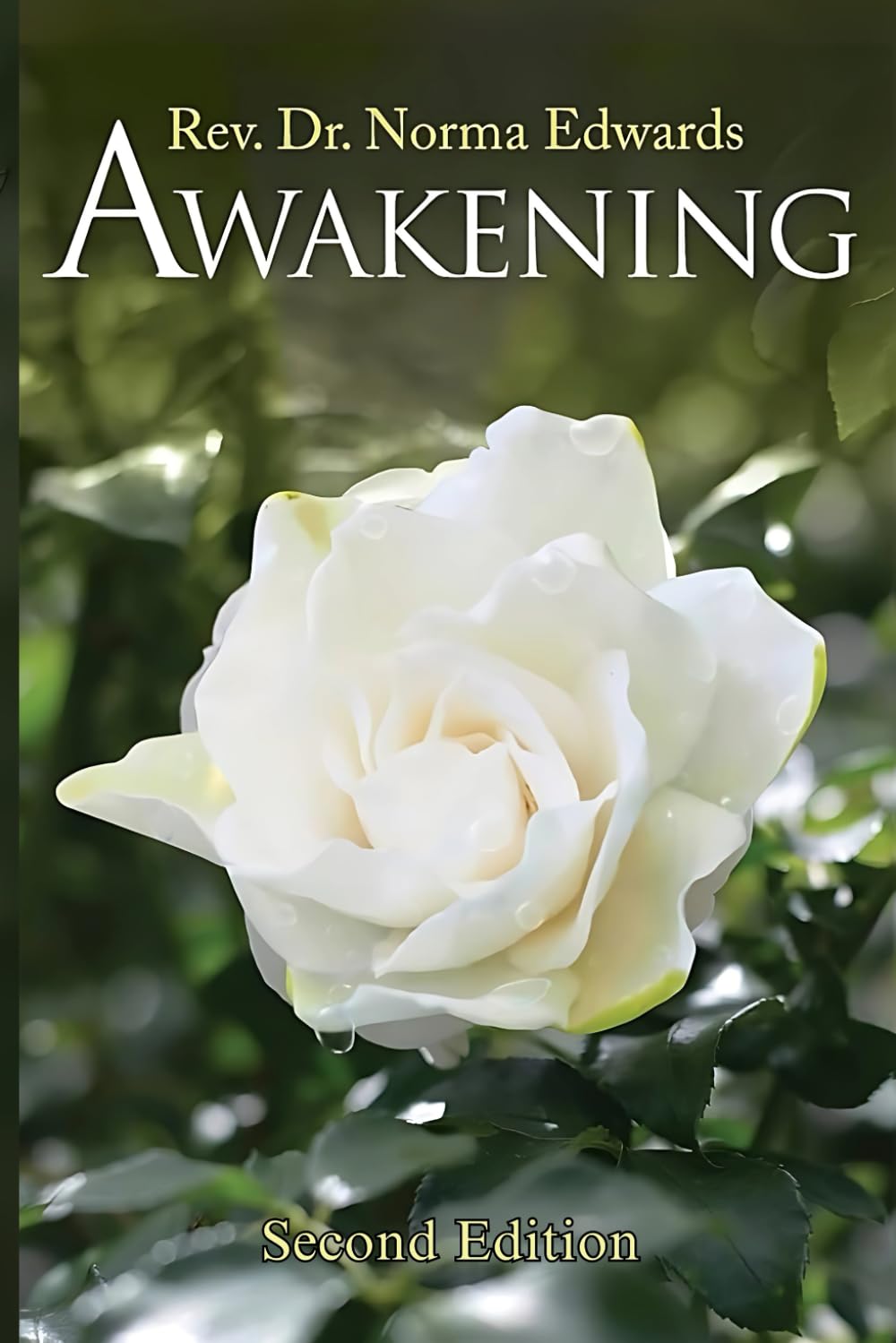 Awakening: Second Edition