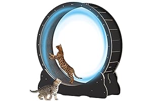 Oversized Cat Exercise Wheel: Unleash Your Feline's Inner Athlete