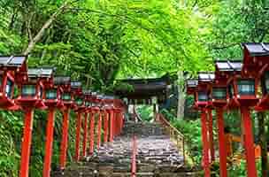 京都 大覚寺　954ピース ジグソーパズル 京都 大覚寺 954ピース ジグソーパズル