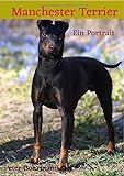 Manchester Terrier: Ein Portrait