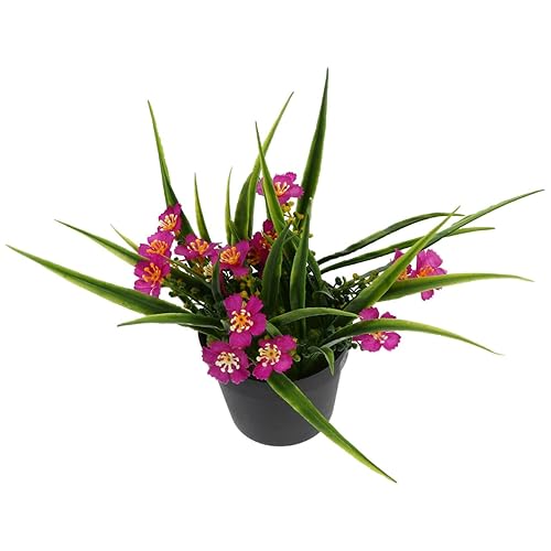 Synthetic Mini Clivia Potted Plant for Minimalist Decor Easy Maintenance