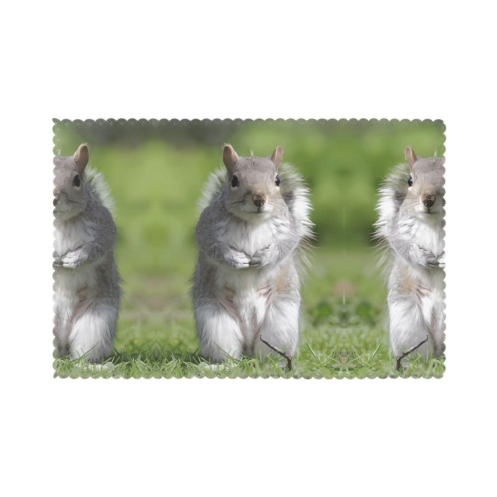 WHJSHOP Squirrel Prints Placemats Set of 6 12x18in - Heat Resistant Table Layers for Homes, Hotels & Stylish Dining