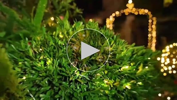 新品 未使用 イルミネーション ライト まとめて ソーラー ディズニー 大量 新品 未使用 イルミネーション ライト まとめて ソーラー