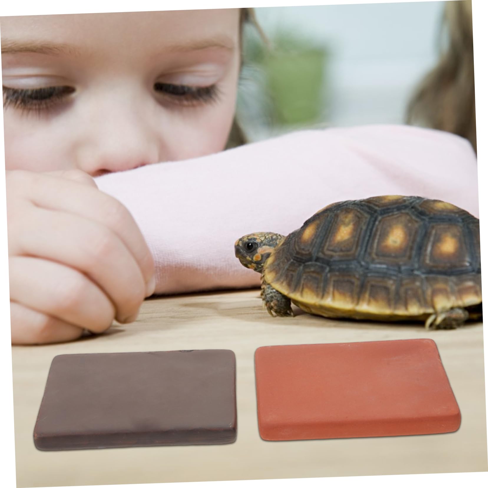 Toddmomy 6stücke Naturstein Für Aquarien Fischbeckenfelsen Sonnenplatz Für Schildkröten Zubehör Für Schildkrötenbecken Keramikziegel Für Reptilienhabitate Dekorationssteine Für Landschildkr