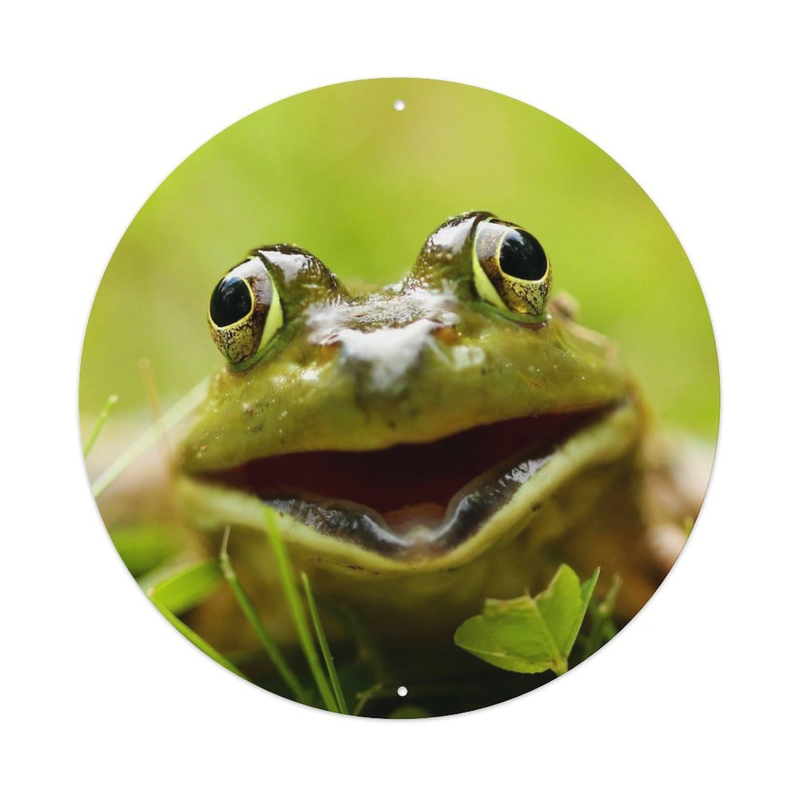 Animal Cute Frog Metal Tin Sign