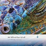 温かい明快な森のセラピー