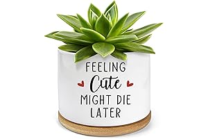 Please Don't Die Plant Pot- Ceramic Engraved Succulent Aloe Cactus Planter Pot,...