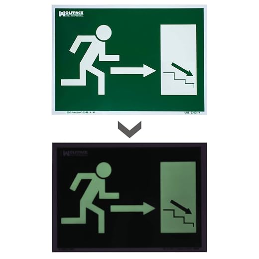 Cartel / Señal Fluorescente / Señal Fluorescente Salida Escalera Derecha Abajo 21X30 Cm. En Oferta Cartel/Señal Fluorescente/Señal Fluorescente Salida Escalera Derecha Abajo 21X30 Cm.