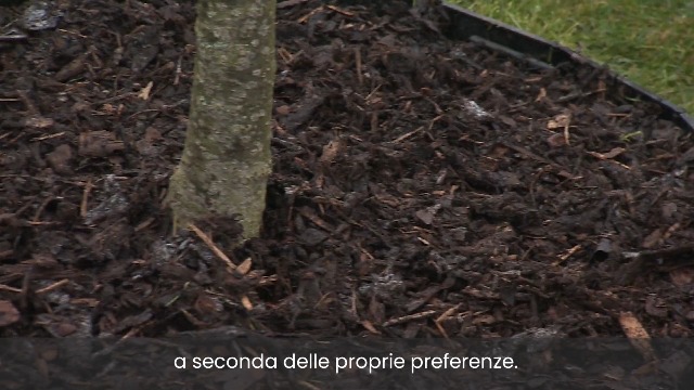 Bordura Per Giardino Kasky - Facile Da Installare Senza Scavare, In Plastica Riciclata, 2,14 M - Foto 13