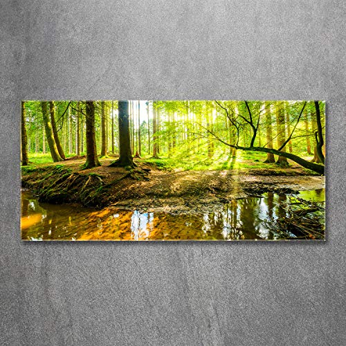 Image tableau photo décorative panoramique paysage vert forêt 120x60 - 3