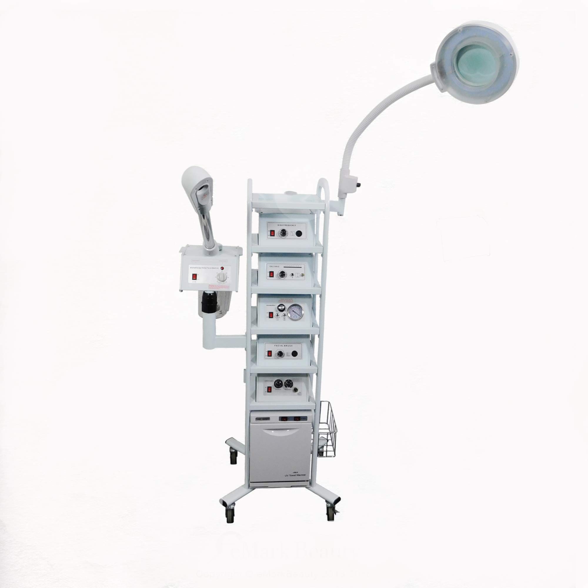 Buy A14 Facial Machine with High Frequency, Aromatherapy Steamer