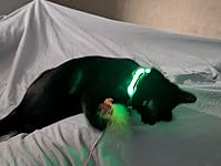 Review Image by Antonio a. Antonio a.