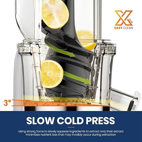 Miniatura 3 de Exprimidor de masticación lenta fácil de limpiar, exprimidor de prensa en frío con filtro de acero inoxidable (FFS6), exprimidor con motor