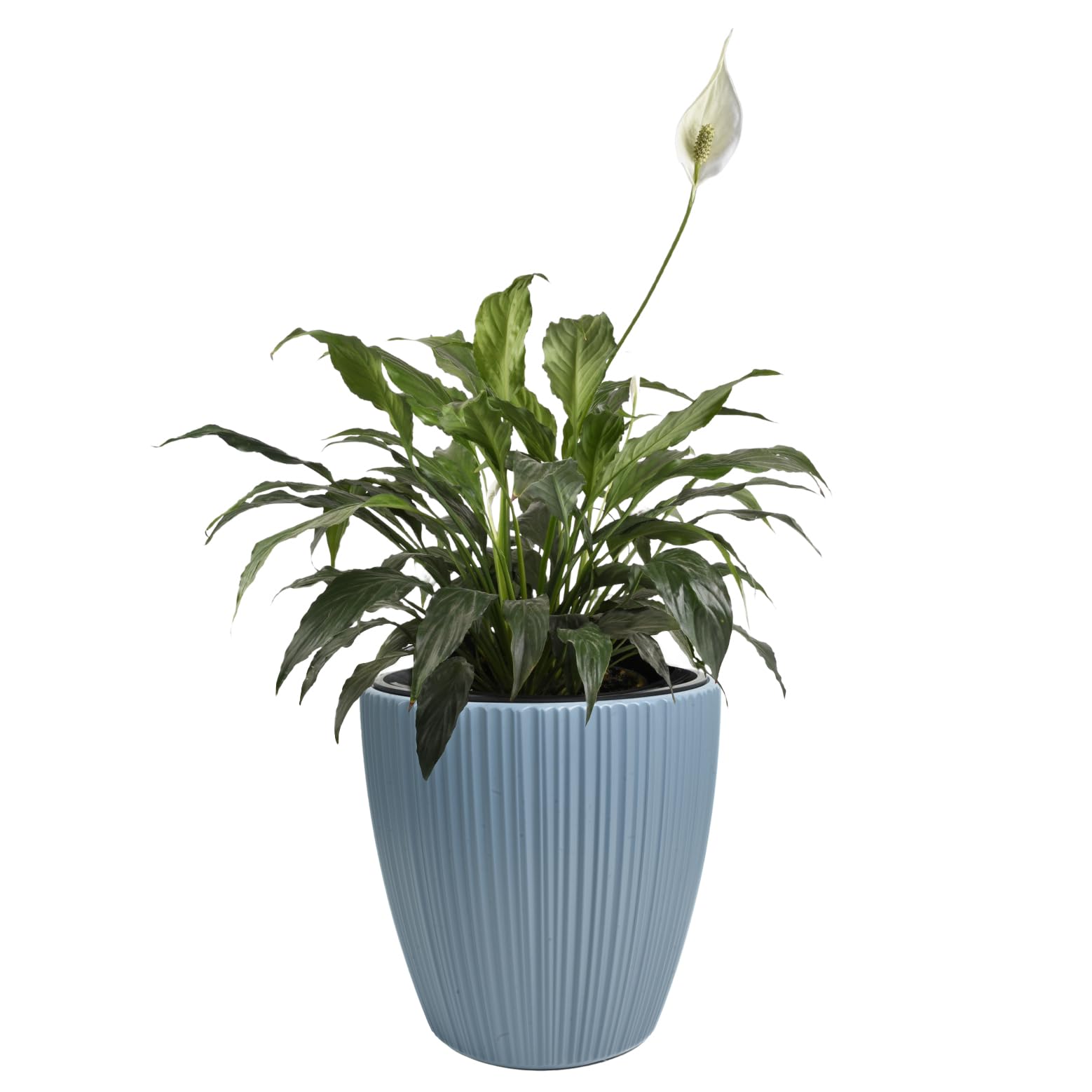 B2C Flowerpot Ridged Planter with removable insert Indoor Outdoor Modern Vertical grooves textured for home office patio garden decoration (Scandinavian blue, W47cm x H50cm)