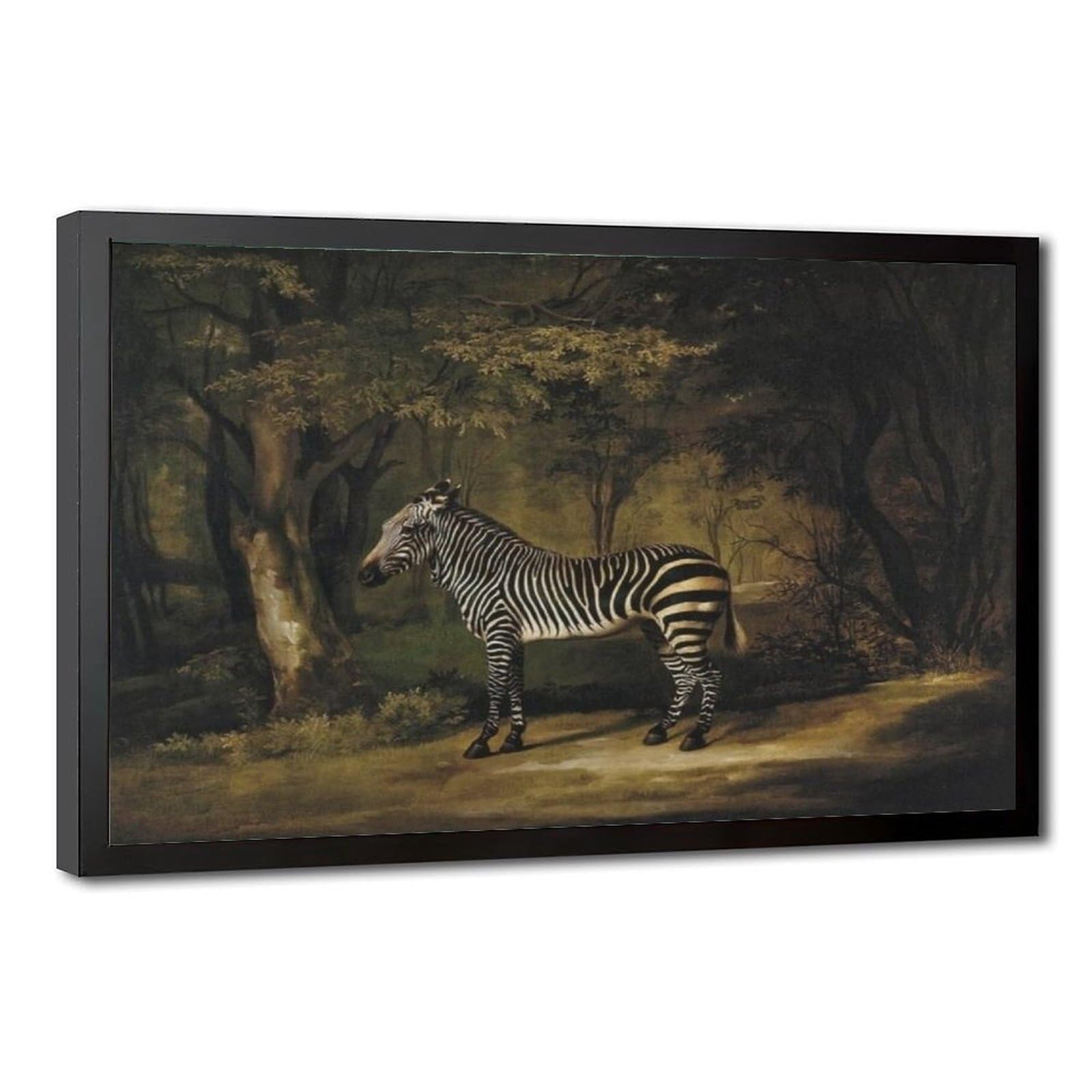 WCYB Zebra by George Stubbs Posters Prints Canvas Deco Paintings Wall Art Hangable Frame 12" L X 18" W